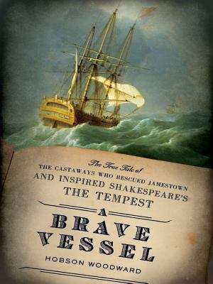 Book cover of A Brave Vessel