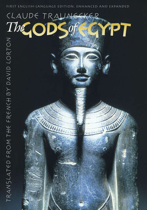 Book cover of The Gods of Egypt
