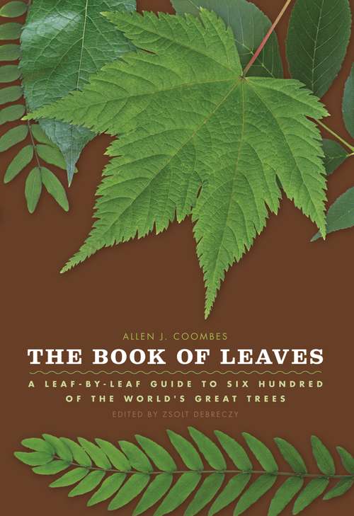 Book cover of The Book of Leaves