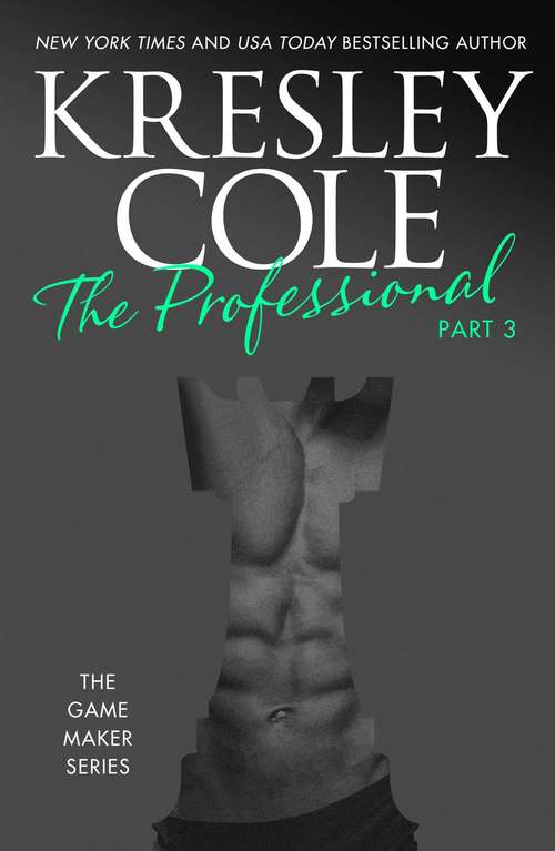Book cover of The Professional Part 3 (The Game Maker Series)