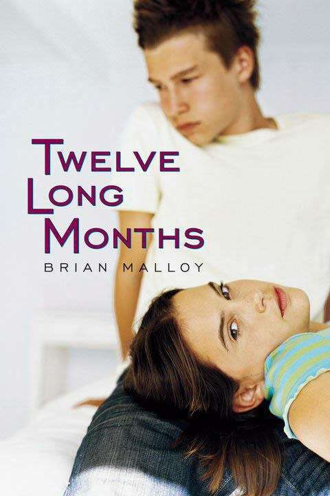 Book cover of Twelve Long Months