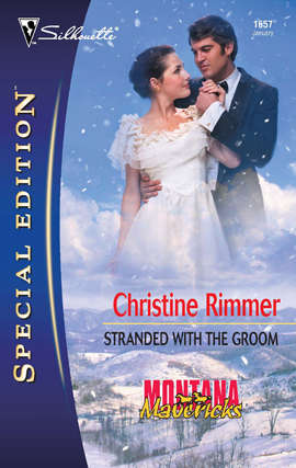 Book cover of Stranded with the Groom