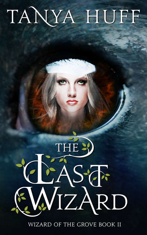 The Last Wizard (Wizard of the Grove #2)