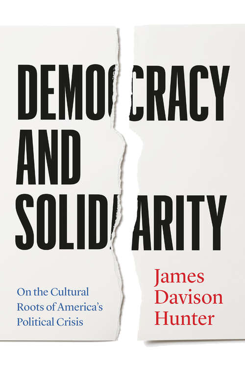 Book cover of Democracy and Solidarity: On the Cultural Roots of America's Political Crisis (Politics and Culture)