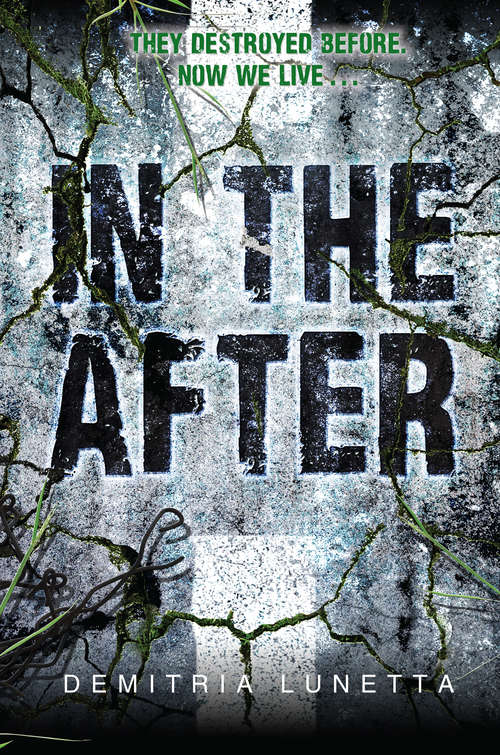 Book cover of In the After