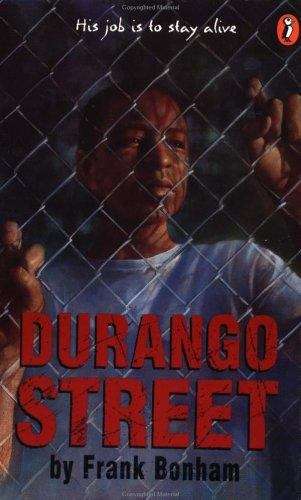 Book cover of Durango Street