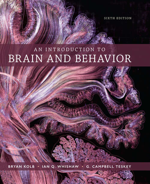 Book cover of An Introduction to Brain and Behavior (Sixth Edition)