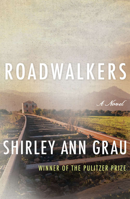 Roadwalkers (Voices Of The South Ser.)