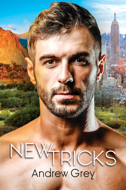 Book cover of New Tricks