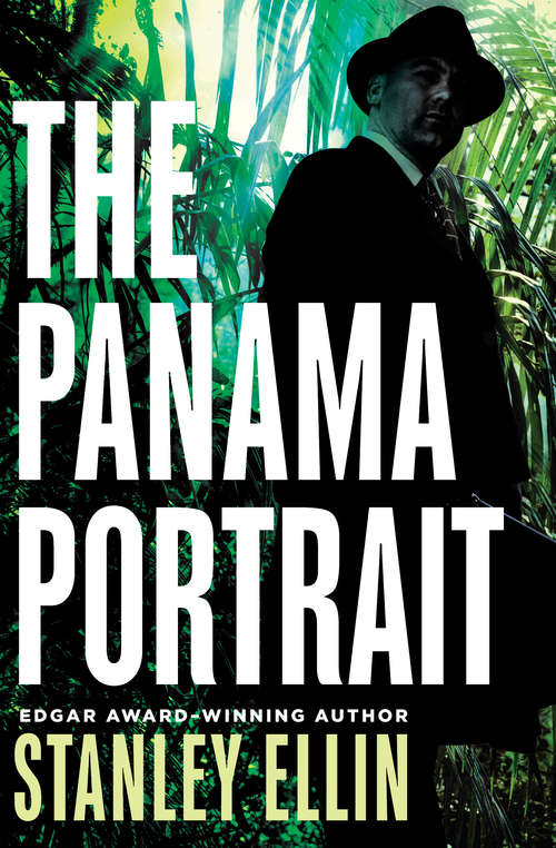 Book cover of The Panama Portrait