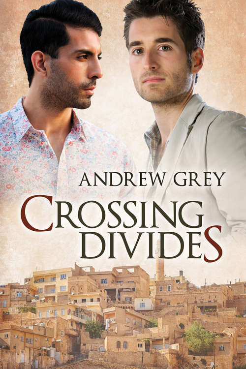 Book cover of Crossing Divides