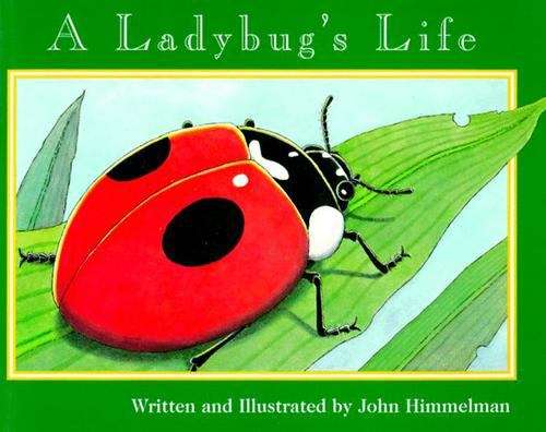 Book cover of A Ladybug's Life (Fountas & Pinnell LLI Blue: Level K)