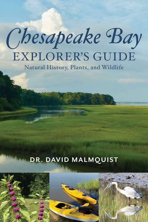 Book cover of Chesapeake Bay Explorer's Guide: Natural History, Plants, and Wildlife