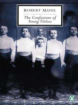 Book cover of The Confusions of Young Torless