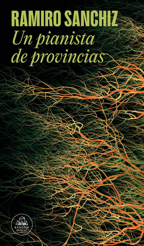 Book cover of Un pianista de provincias