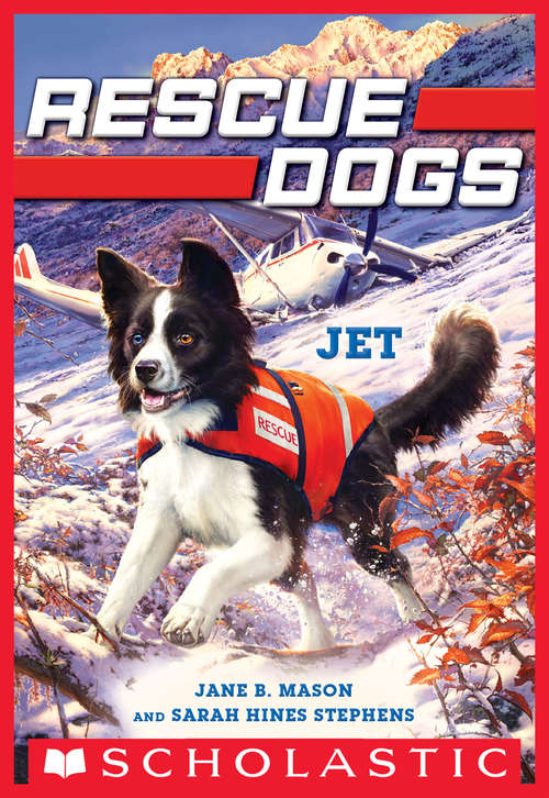 Book cover of Jet (Rescue Dogs #3)