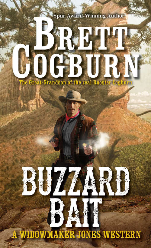 Book cover of Buzzard Bait (A Widowmaker Jones Western #2)