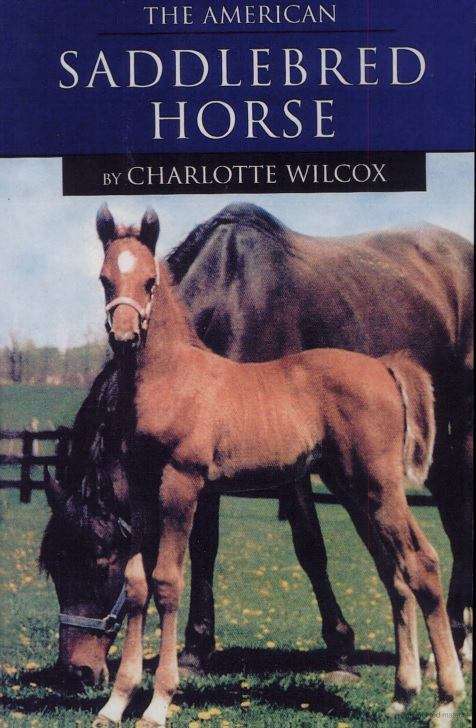 Book cover of The American Saddlebred Horse (Learning About Horses)