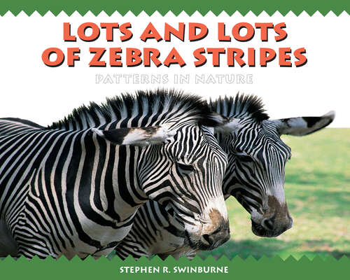 Book cover of Lots and Lots of Zebra Stripes