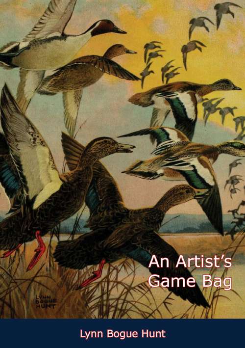 Book cover of An Artist’s Game Bag