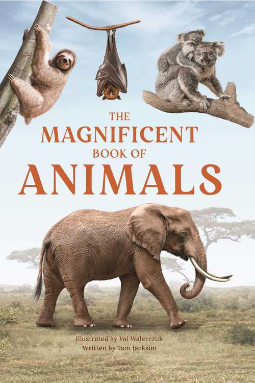 Book cover of The Magnificent Book of Animals (The Magnificent Book of)