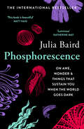 Phosphorescence: On Awe, Wonder And Things That Sustain You When The World Goes Dark
