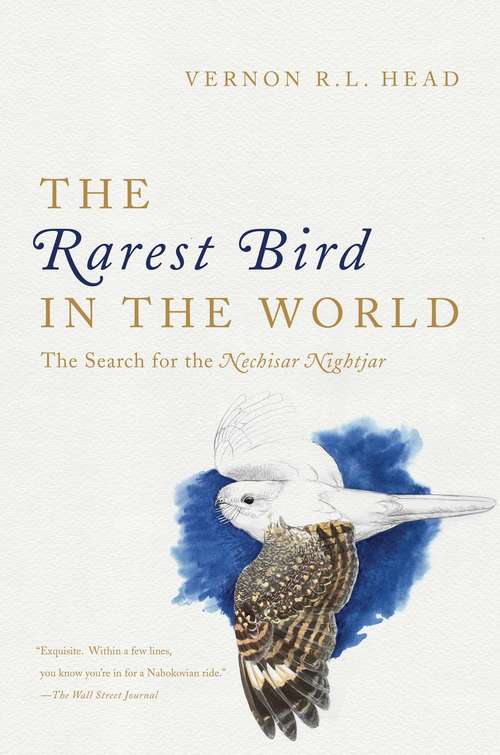 Book cover of The Rarest Bird in the World: The Search for the Nechisar Nightjar