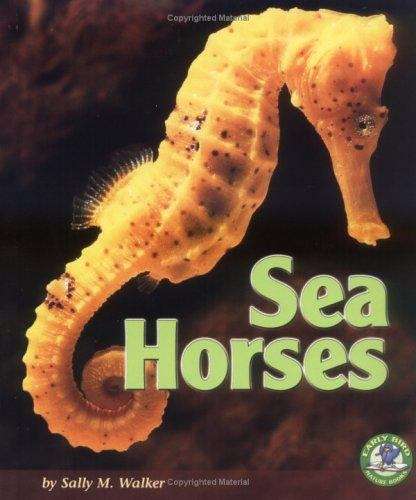 Sea Horses (Early Bird Nature Books)