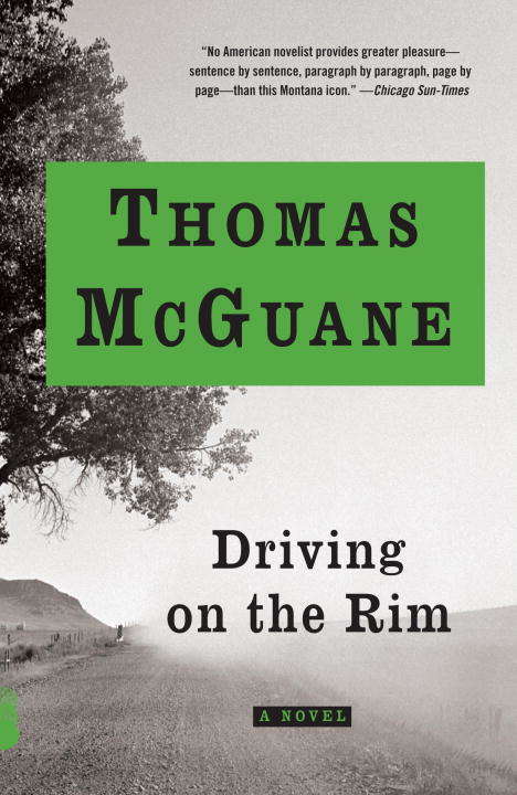 Book cover of Driving on the Rim