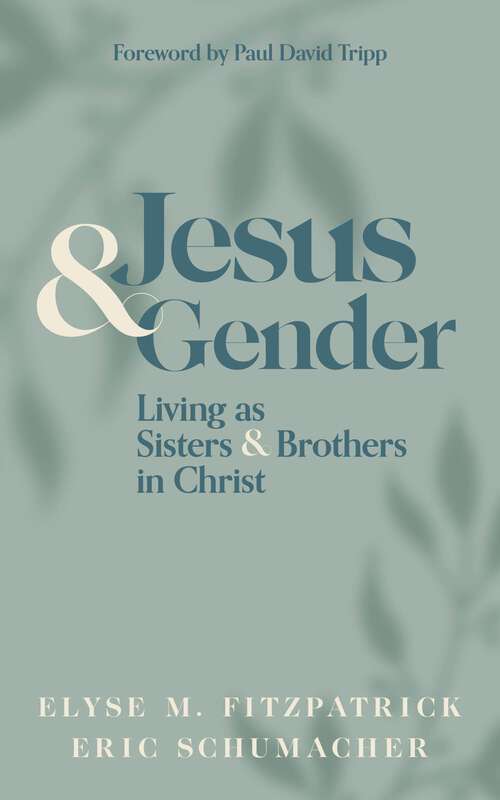 Book cover of Jesus and Gender: Living as Sisters and Brothers in Christ