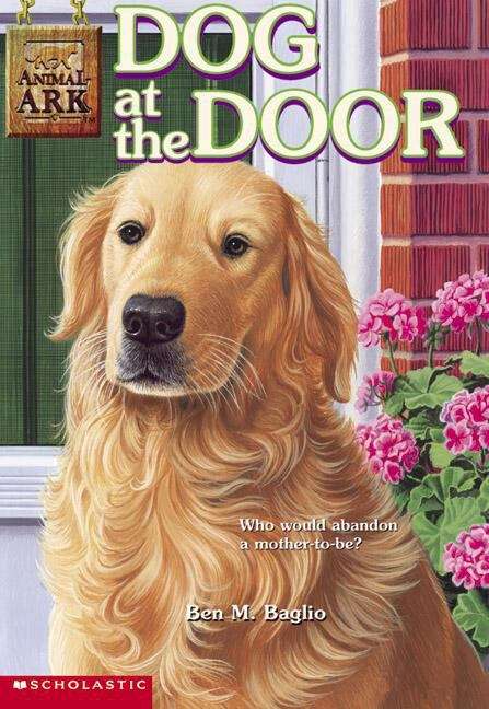 Book cover of Dog at the Door (Animal Ark #25)