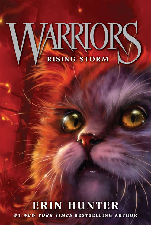Book cover of Warriors #4: Rising Storm