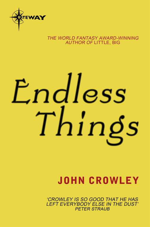 Book cover of Endless Things