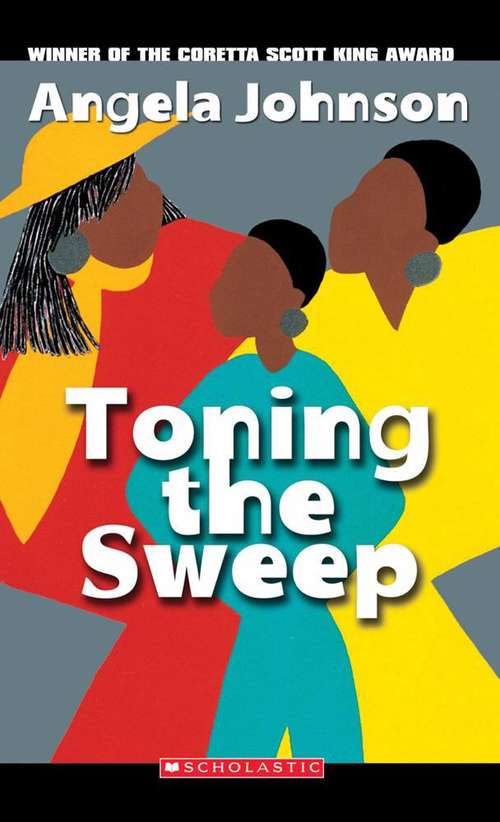 Book cover of Toning The Sweep