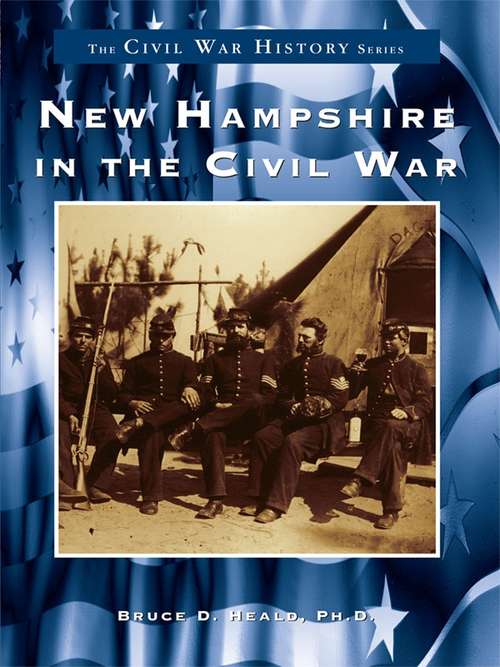 New Hampshire in the Civil War (Civil War Series)