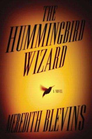 Book cover of The Hummingbird Wizard