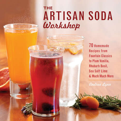 Book cover of The Artisan Soda Workshop: 75 Homemade Recipes from Fountain Classics to Rhubarb Basil, Sea Salt Lime, Cold-Brew Coffee and Muc