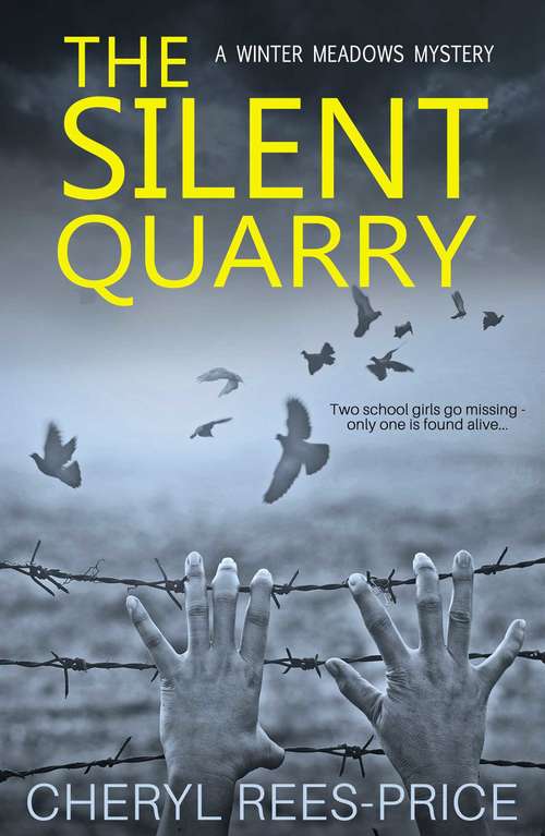 Book cover of The Silent Quarry