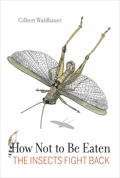 Book cover of How Not to Be Eaten