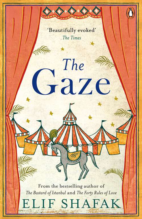 Book cover of The Gaze: A daringly funny historical novel exploring what it means to look and be looked at