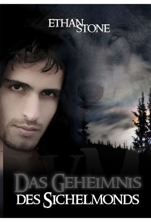 Book cover of Das Geheimnis des Sichelmonds