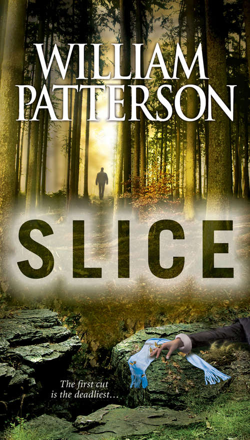 Book cover of Slice