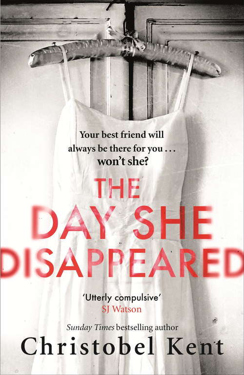 Book cover of The Day She Disappeared: From the bestselling author of The Loving Husband