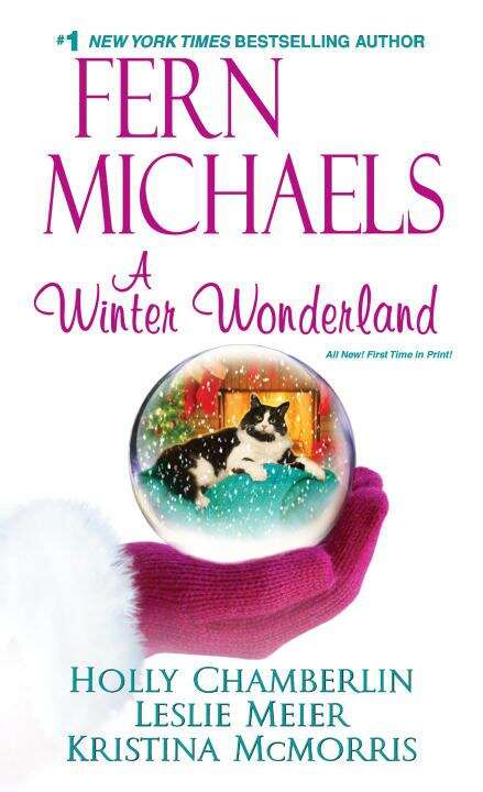 Book cover of A Winter Wonderland