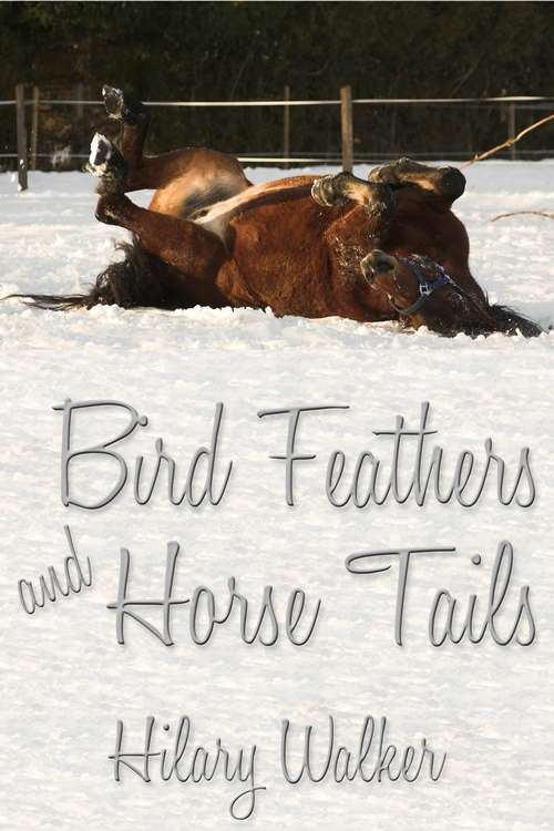 Book cover of Bird Feathers and Horse Tails