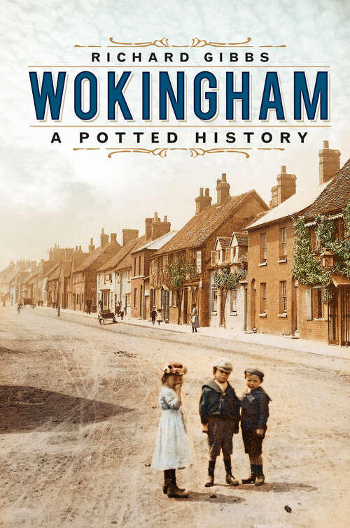 Book cover of Wokingham: A Potted History