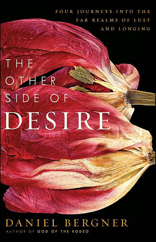 Book cover of The Other Side of Desire: Four Journeys into the Far Realms of Lust and Longing