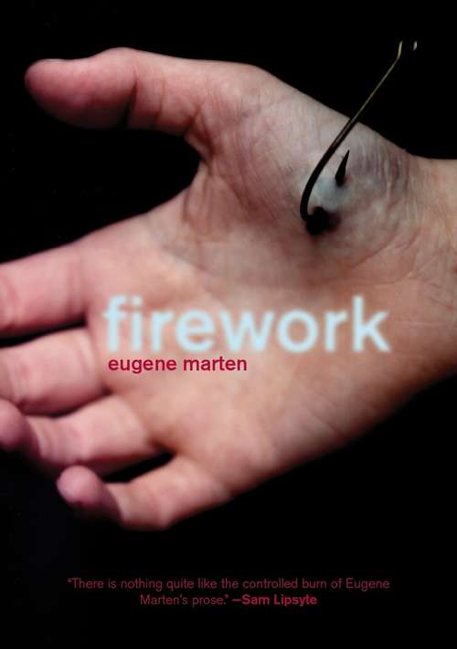 Book cover of Firework