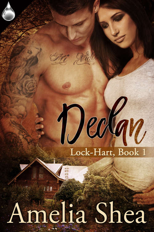 Book cover of Declan