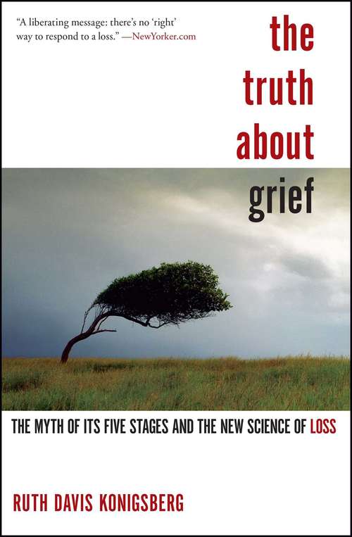 Book cover of The Truth About Grief